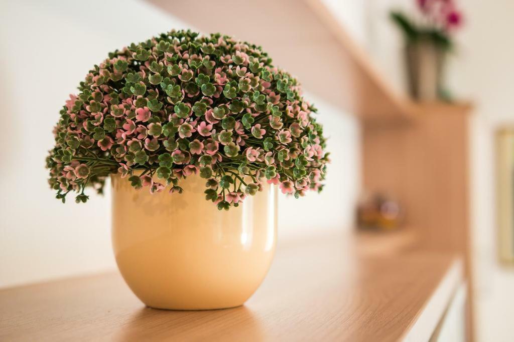 Snjezana Apartamento Mali Lošinj